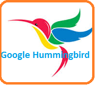 Google hummingbird