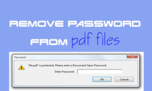 Remove PDF Password Protection