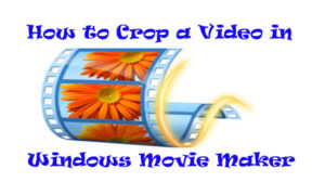 crop a video in windows movie maker