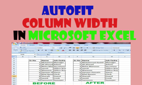 Autofit Column Width in Excel